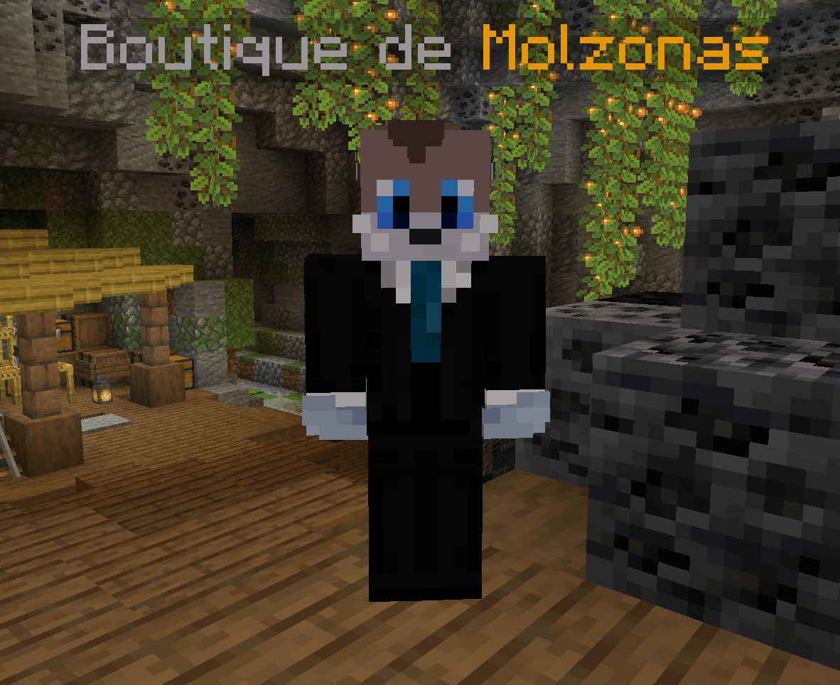 Boutique qui affiche le nom et le skin de son joueur propriétaire